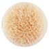 EcoTools Dry Body Brush