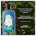 Herbal Essences BioRenew Argan Oil of Morocco Shampoo 400ml