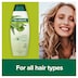 Palmolive Active Nourishment Shampoo Aloe Vera 350ml