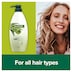 Palmolive Active Nourishment Shampoo Aloe Vera 700ml