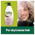 Palmolive Intensive Moisture Shampoo Coconut Cream 700ml