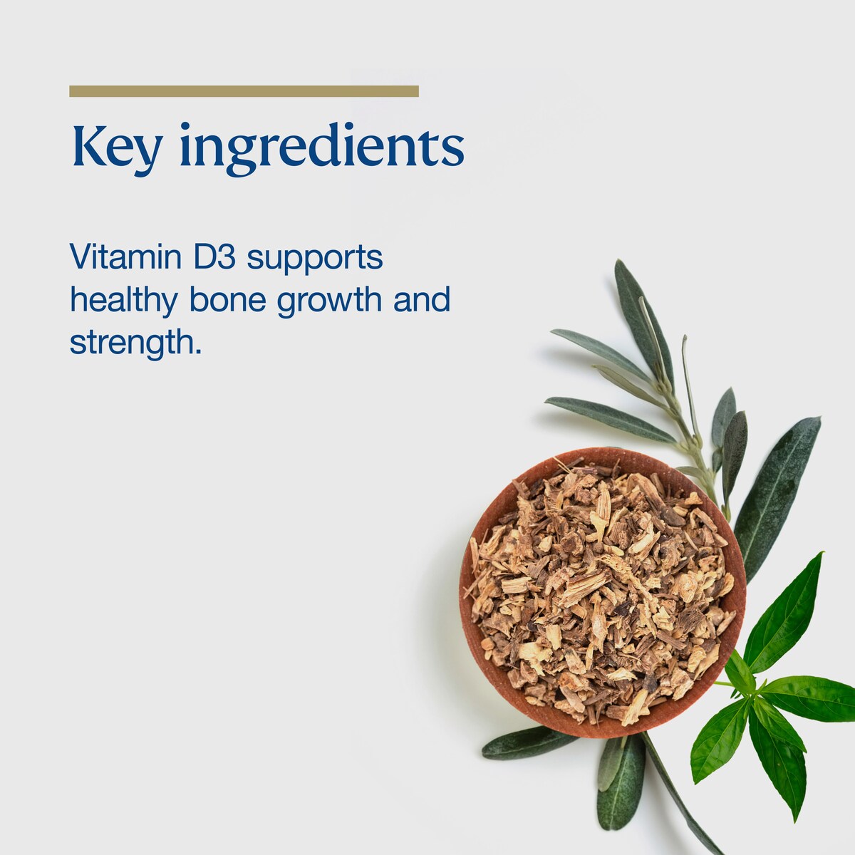 BioCeuticals D3 Capsules 240 Soft Capsules