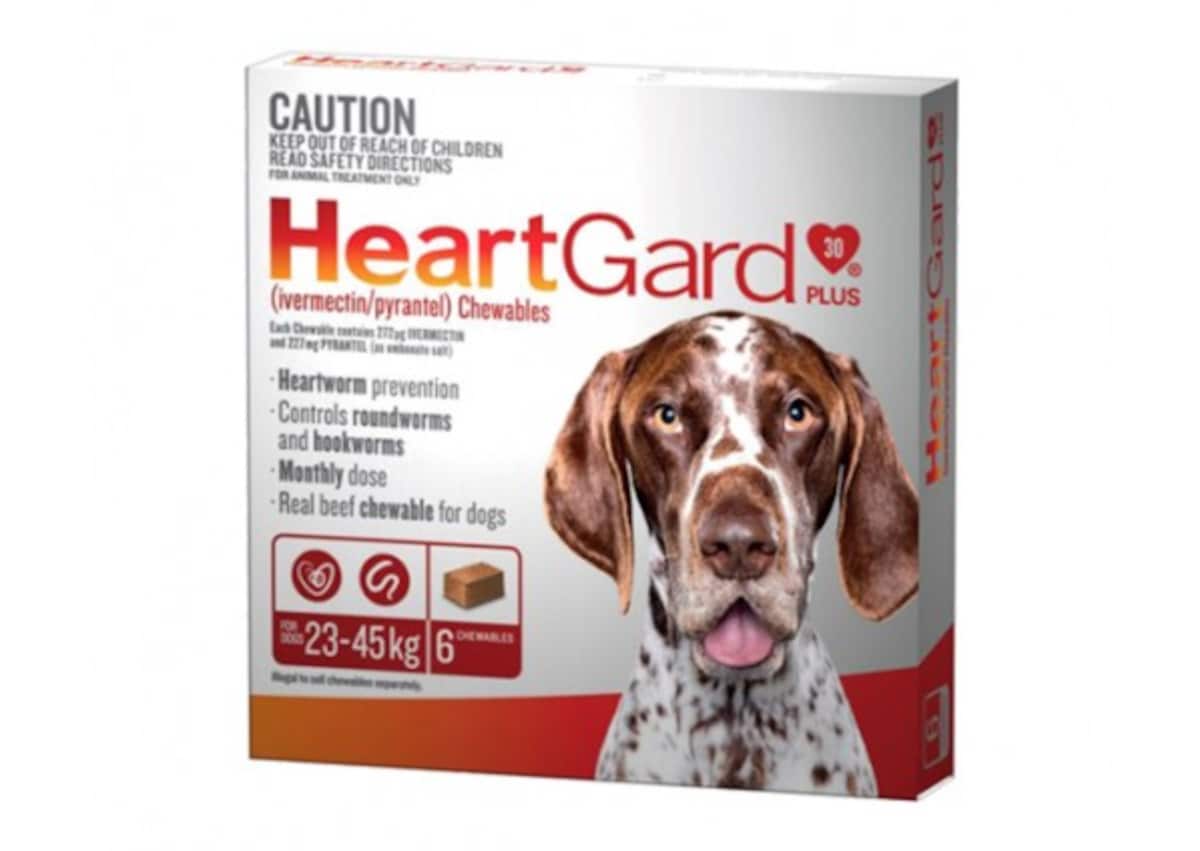 HeartGard Plus Chews for Large Dogs 23-45kg Brown 6 Chewables