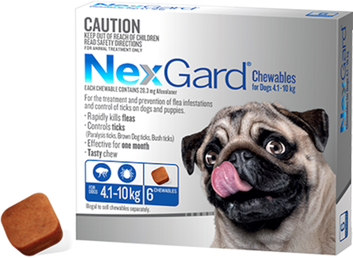 Nexgard Chewables for Small Dogs 4.1-10kg 6 Pack