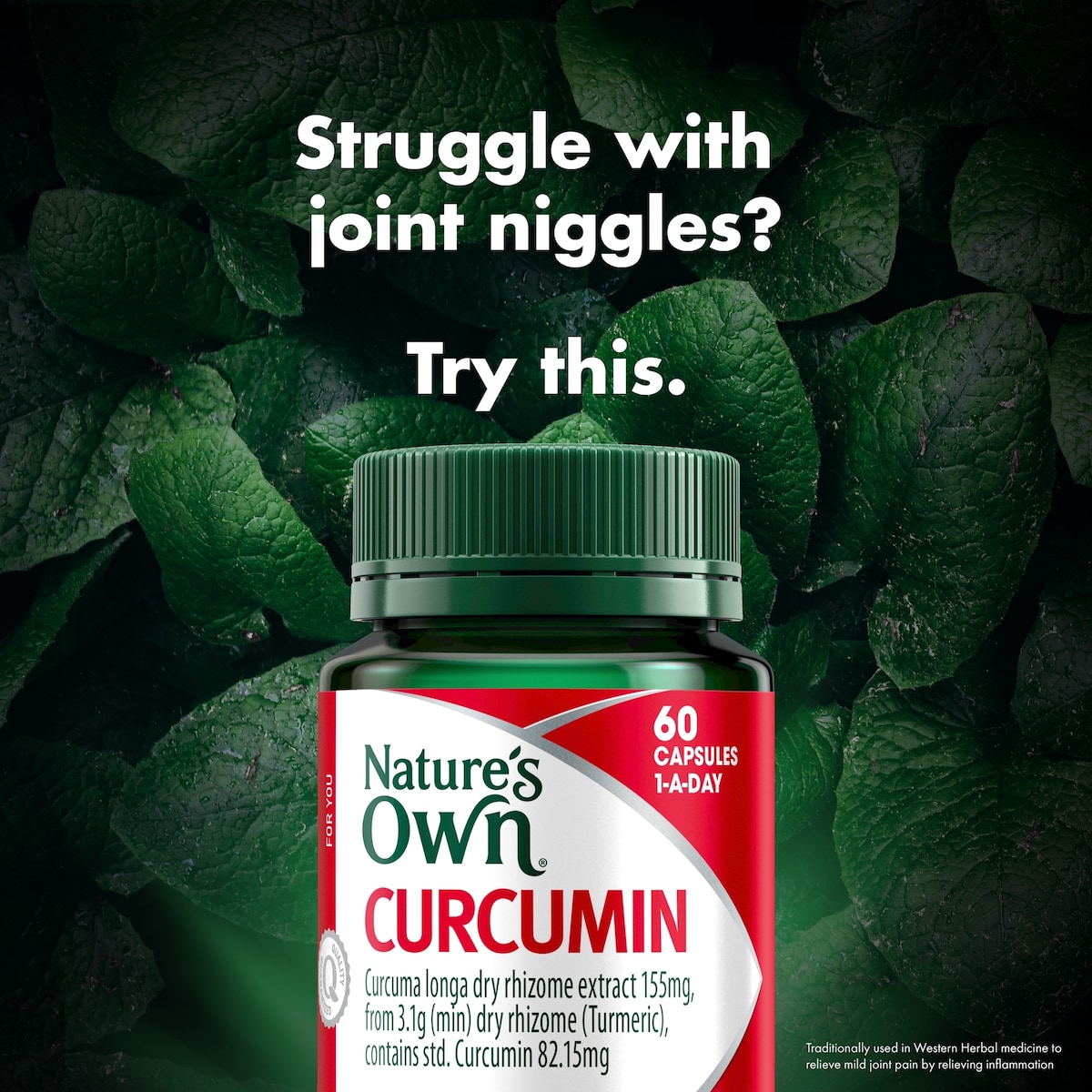 Nature's Own Curcumin 60 Capsules