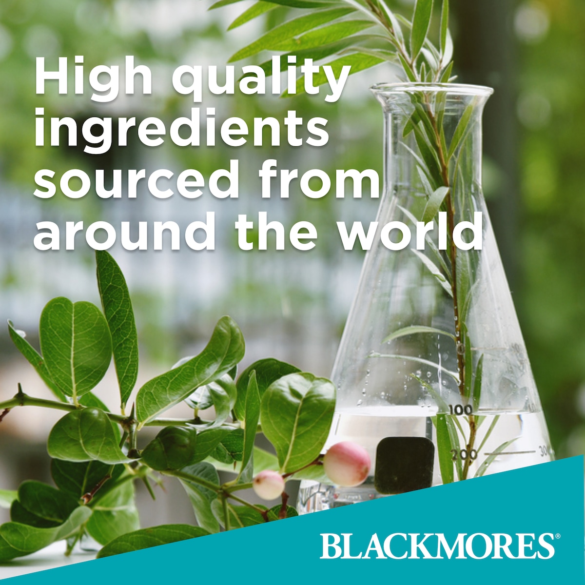 Blackmores St John's Wort 90 Tablets