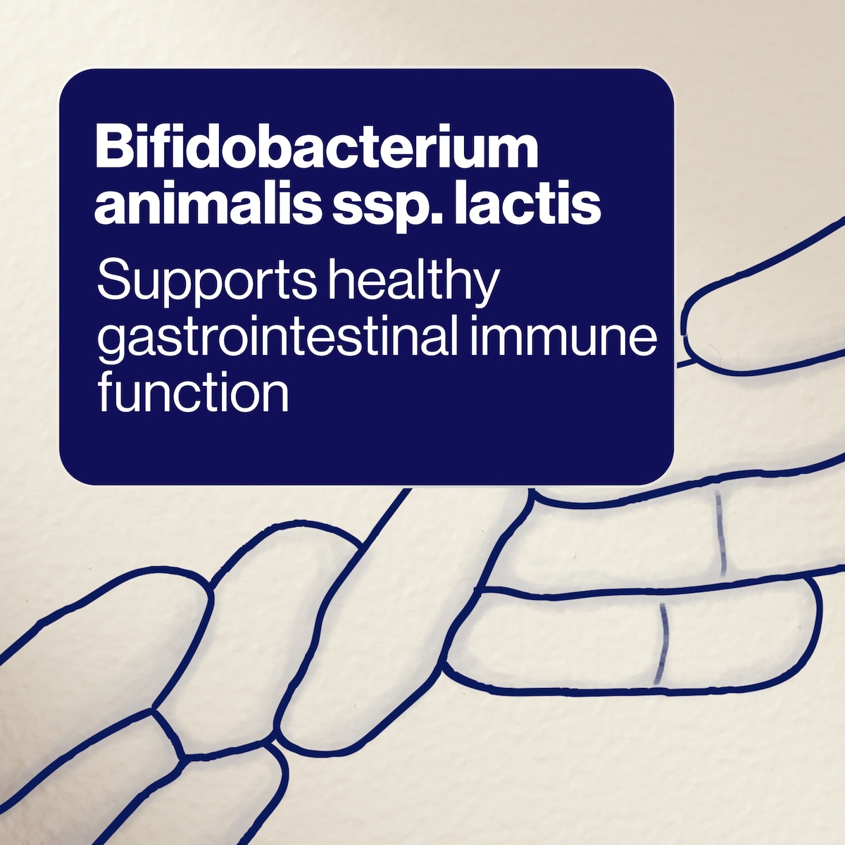 BioCeuticals UltraBiotic Immune Junior 30 Tablets