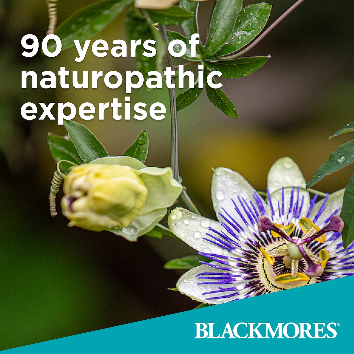 Blackmores Sustained Release Multivitamins for 50+ 90 Tablets