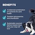 Blackmores PAW Osteocare Joint Protect Chews 300g