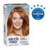 Clairol Nice N Easy 8WR Natural Golden Auburn Hair Colour