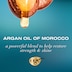 OGX Argan Oil of Morocco Conditioner 385ml